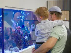 A man holding a young boy looks at a brightly lit aquarium filled with colourful fish and coral in a public indoor setting, reminiscent of the vibrant displays often found in kitchen and bathroom showroom installation supply design.
