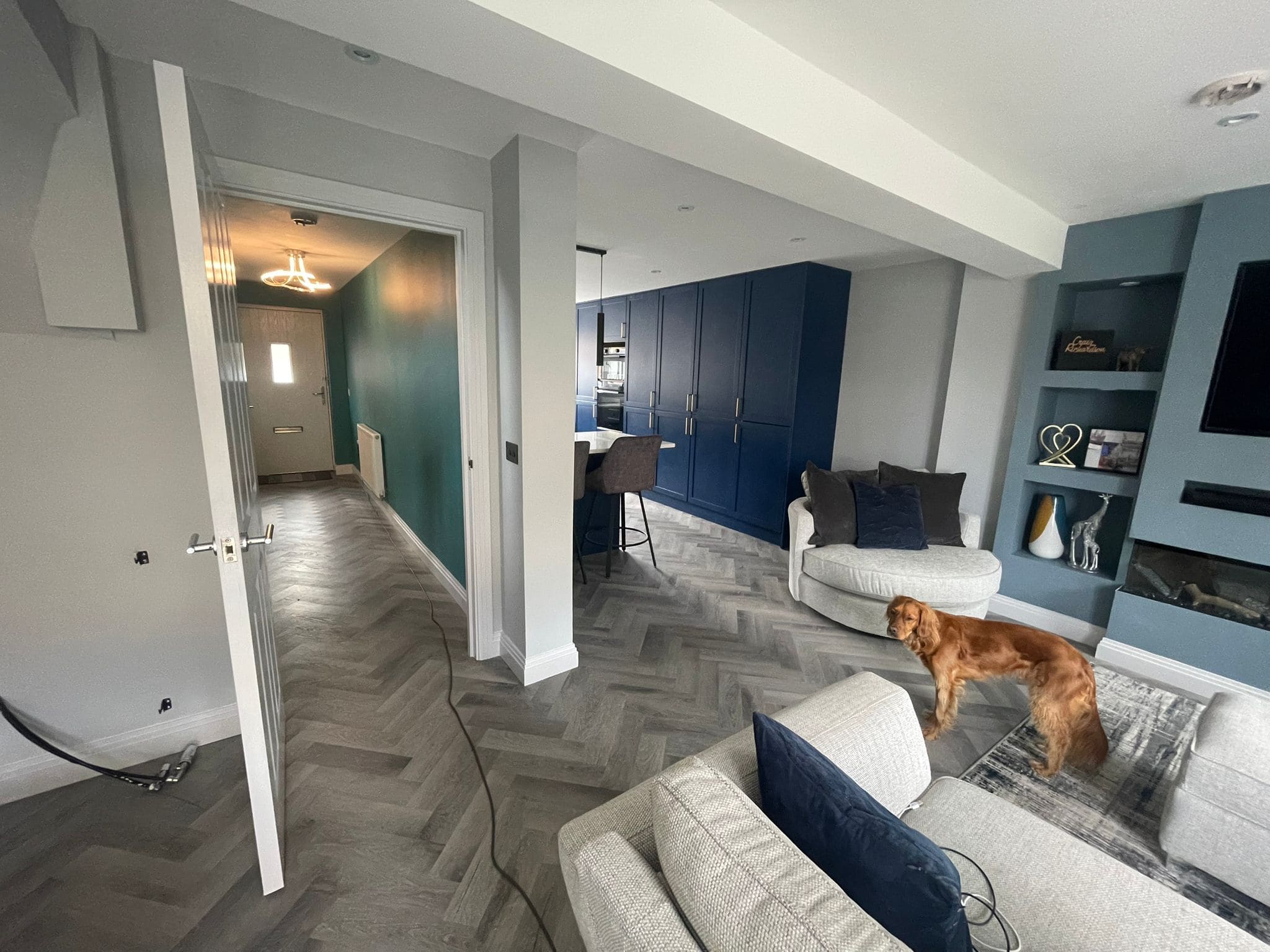 A cosy modern living room with grey herringbone flooring, blue feature wall, two round chairs, and a dog on a grey sofa opens to a hallway with teal walls and stylish pendant lighting—perfect inspiration for your next kitchen and bathroom showroom design.