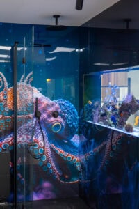 A modern shower with glass doors features a vibrant wall mural of a colourful octopus, alongside a built-in aquarium filled with coral and tropical fish.